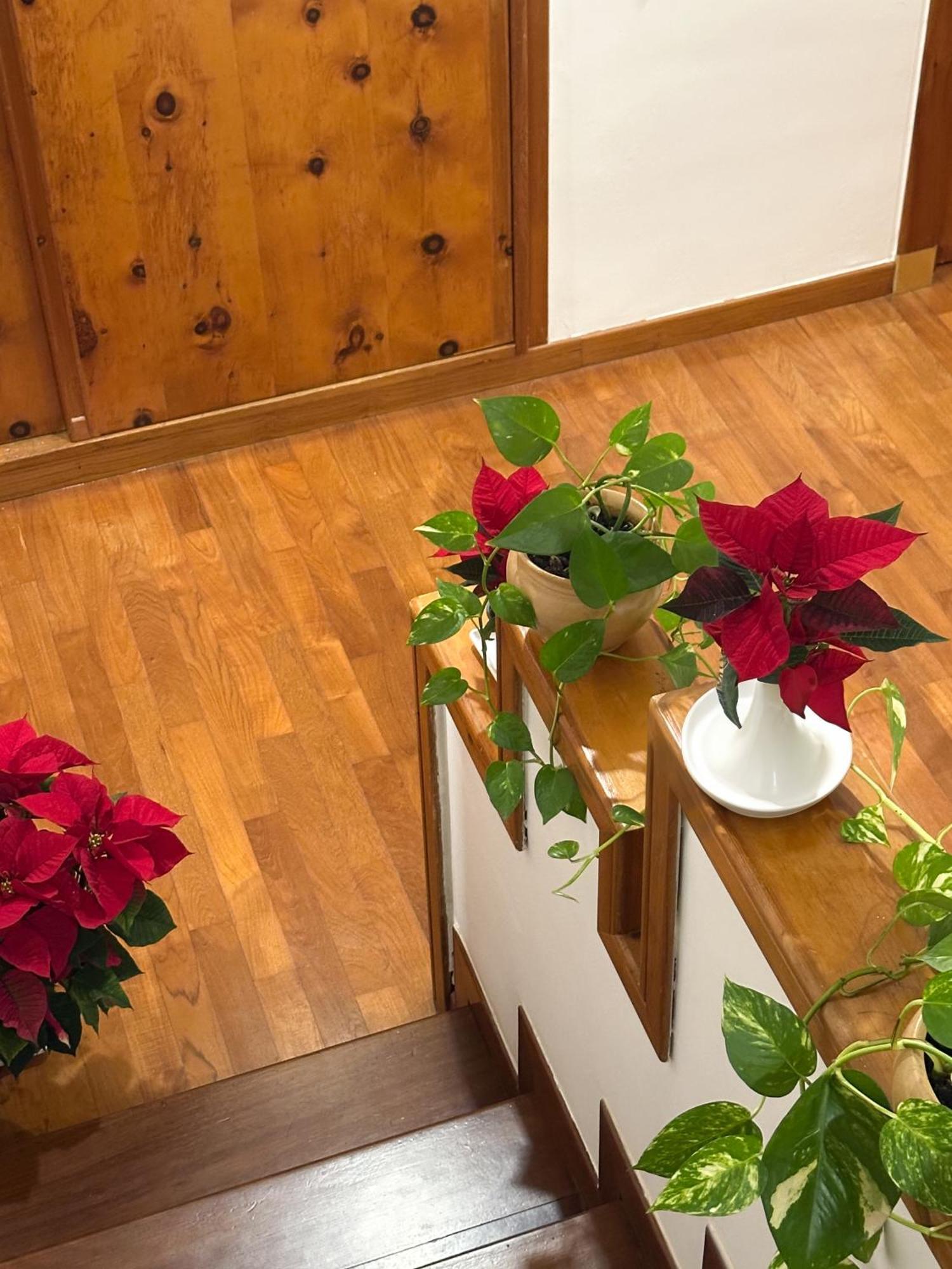 B&B Le Foglie D'Ulivo 바리 외부 사진